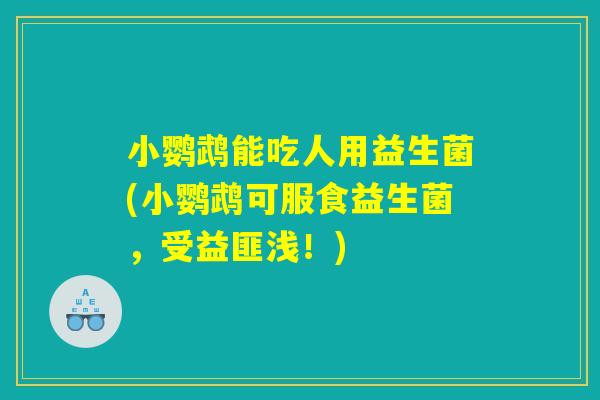 小鹦鹉能吃人用益生菌(小鹦鹉可服食益生菌，受益匪浅！)