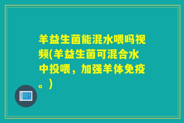 羊益生菌能混水喂吗视频(羊益生菌可混合水中投喂，加强羊体免疫。)