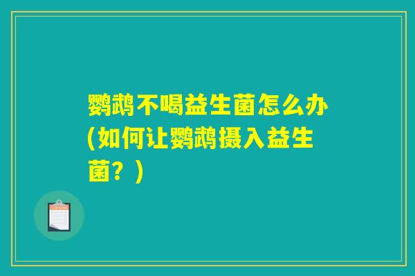 鹦鹉不喝益生菌怎么办(如何让鹦鹉摄入益生菌？)