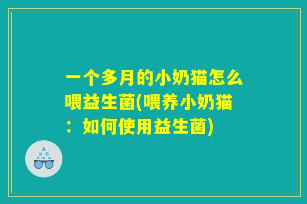 一个多月的小奶猫怎么喂益生菌(喂养小奶猫：如何使用益生菌)