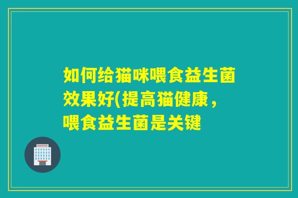 如何给猫咪喂食益生菌效果好(提高猫健康，喂食益生菌是关键