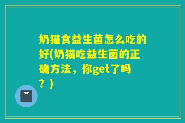 奶猫食益生菌怎么吃的好(奶猫吃益生菌的正确方法,你get了吗?) 奶猫食益生菌怎么吃的好(奶猫吃益生菌的正确方法,你get了吗?)