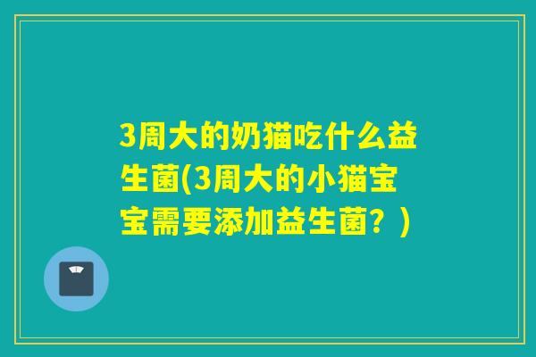 3周大的奶猫吃什么益生菌(3周大的小猫宝宝需要添加益生菌？)