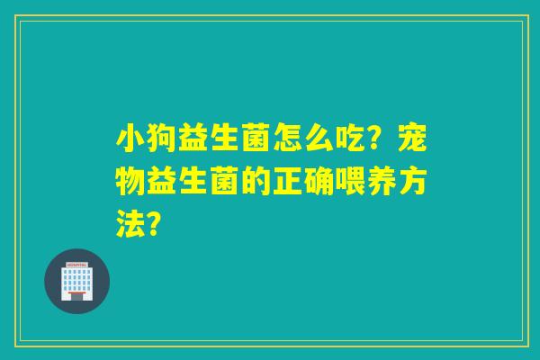 小狗益生菌怎么吃？宠物益生菌的正确喂养方法？