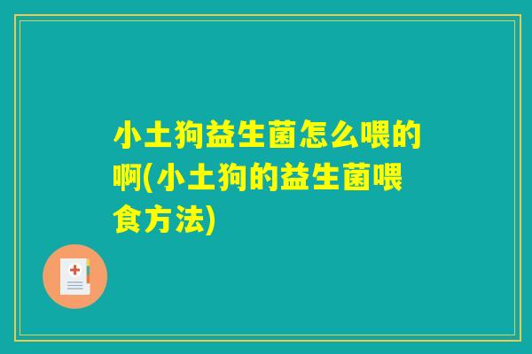 小土狗益生菌怎么喂的啊(小土狗的益生菌喂食方法)