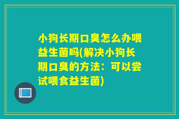 小狗长期口臭怎么办喂益生菌吗(解决小狗长期口臭的方法：可以尝试喂食益生菌)