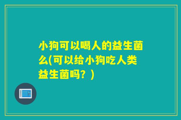 小狗可以喝人的益生菌么(可以给小狗吃人类益生菌吗？)