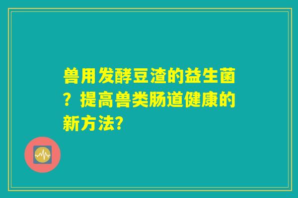 兽用发酵豆渣的益生菌？提高兽类肠道健康的新方法？
