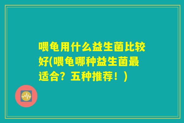 喂龟用什么益生菌比较好(喂龟哪种益生菌最适合？五种推荐！)