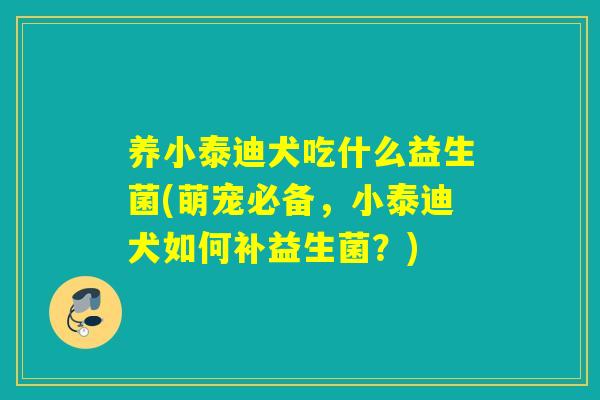 养小泰迪犬吃什么益生菌(萌宠必备，小泰迪犬如何补益生菌？)