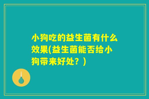 小狗吃的益生菌有什么效果(益生菌能否给小狗带来好处?) 小狗吃的益生菌有什么效果(益生菌能否给小狗带来好处?)