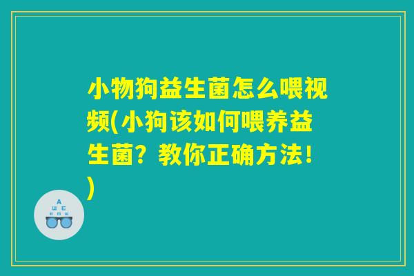 小物狗益生菌怎么喂视频(小狗该如何喂养益生菌？教你正确方法！)