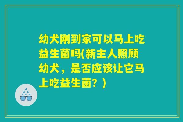 幼犬刚到家可以马上吃益生菌吗(新主人照顾幼犬，是否应该让它马上吃益生菌？)