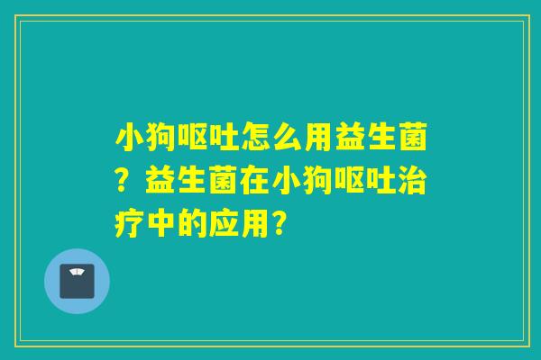 小狗呕吐怎么用益生菌？益生菌在小狗呕吐治疗中的应用？