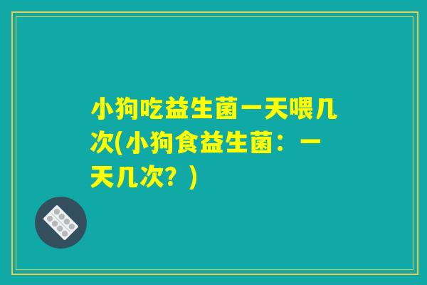 小狗吃益生菌一天喂几次(小狗食益生菌：一天几次？)