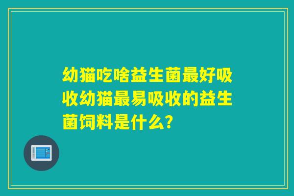 幼猫吃啥益生菌最好吸收幼猫最易吸收的益生菌饲料是什么？