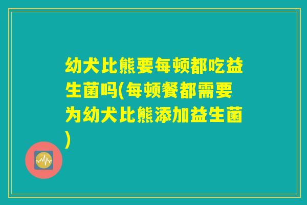 幼犬比熊要每顿都吃益生菌吗(每顿餐都需要为幼犬比熊添加益生菌)