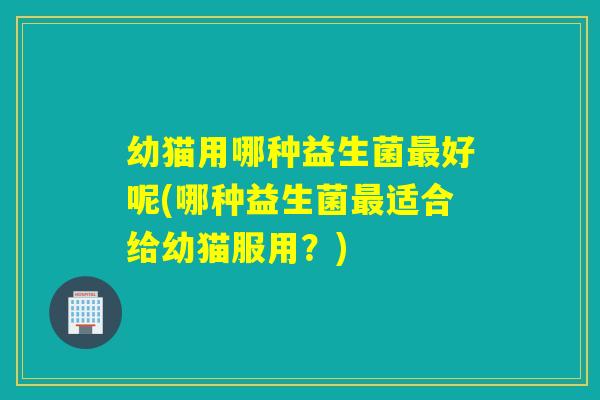 幼猫用哪种益生菌最好呢(哪种益生菌最适合给幼猫服用？)
