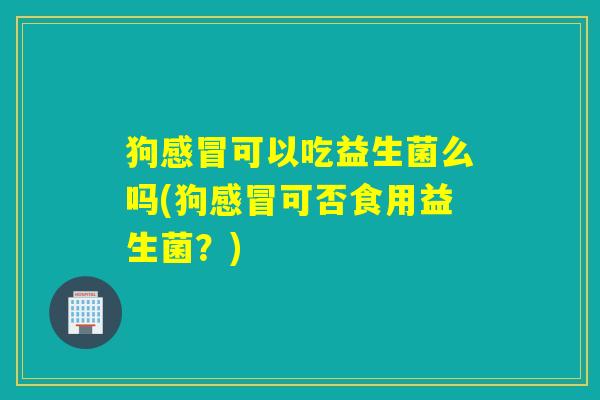 狗感冒可以吃益生菌么吗(狗感冒可否食用益生菌？)