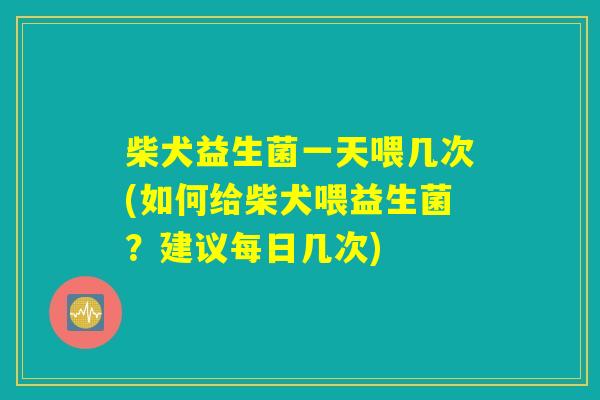柴犬益生菌一天喂几次(如何给柴犬喂益生菌？建议每日几次)