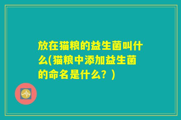 放在猫粮的益生菌叫什么(猫粮中添加益生菌的命名是什么?) 放在猫粮的益生菌叫什么(猫粮中添加益生菌的命名是什么?)