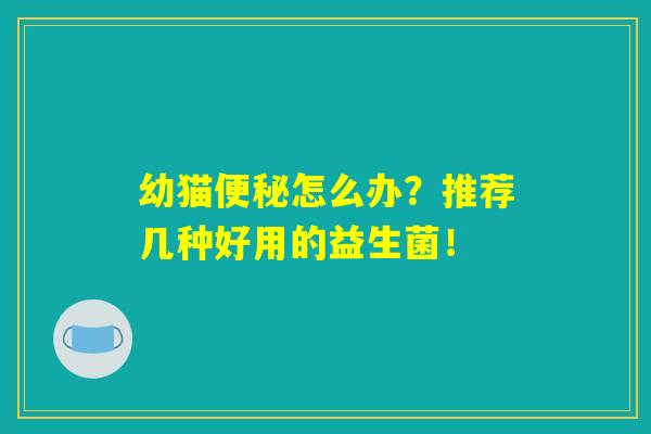 幼猫怎么办?推荐几种好用的益生菌! 幼猫怎么办?推荐几种好用的益生菌!
