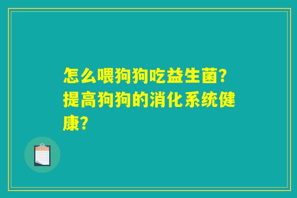 怎么喂狗狗吃益生菌？提高狗狗的消化系统健康？