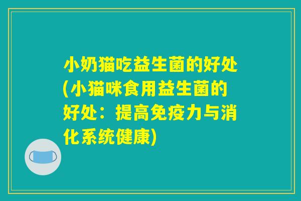 小奶猫吃益生菌的好处(小猫咪食用益生菌的好处：提高免疫力与消化系统健康)