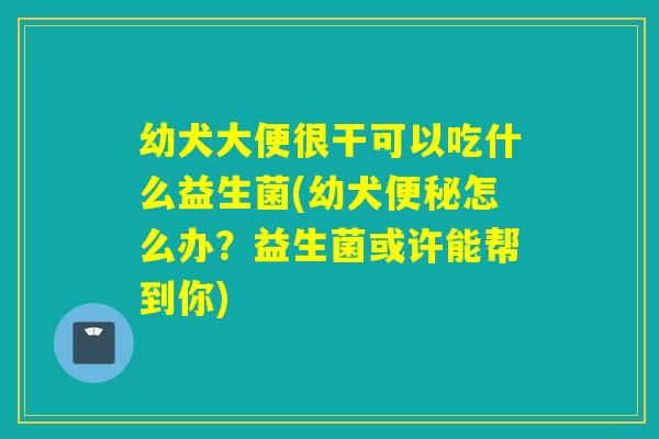 幼犬大便很干可以吃什么益生菌(幼犬便秘怎么办？益生菌或许能帮到你)