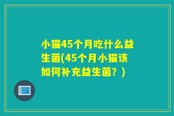 小猫45个月吃什么益生菌(45个月小猫该如何补充益生菌？)