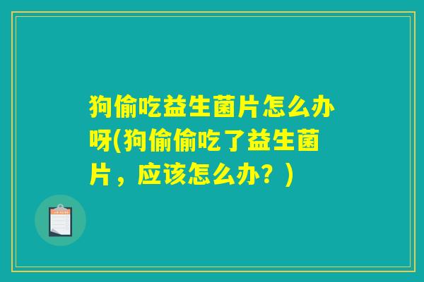 狗偷吃益生菌片怎么办呀(狗偷偷吃了益生菌片，应该怎么办？)