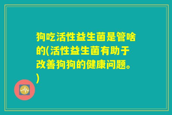 狗吃活性益生菌是管啥的(活性益生菌有助于改善狗狗的健康问题。)