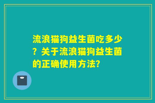 流浪猫狗益生菌吃多少？关于流浪猫狗益生菌的正确使用方法？