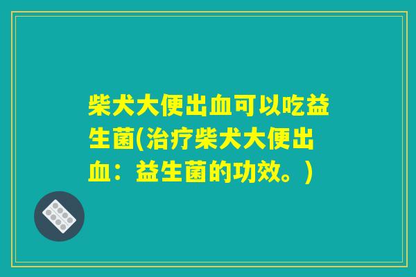 柴犬大便出血可以吃益生菌(治疗柴犬大便出血：益生菌的功效。)
