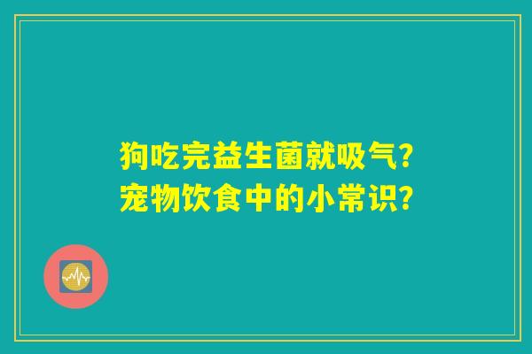 狗吃完益生菌就吸气？宠物饮食中的小常识？