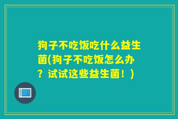 狗子不吃饭吃什么益生菌(狗子不吃饭怎么办？试试这些益生菌！)