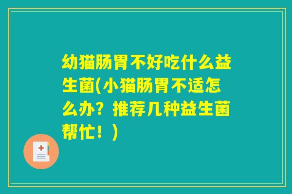 幼猫肠胃不好吃什么益生菌(小猫肠胃不适怎么办？推荐几种益生菌帮忙！)