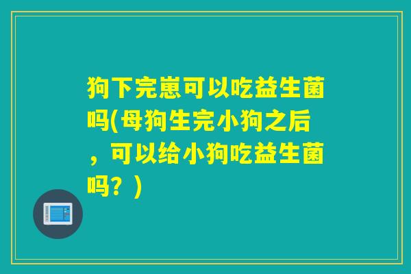 狗下完崽可以吃益生菌吗(母狗生完小狗之后，可以给小狗吃益生菌吗？)
