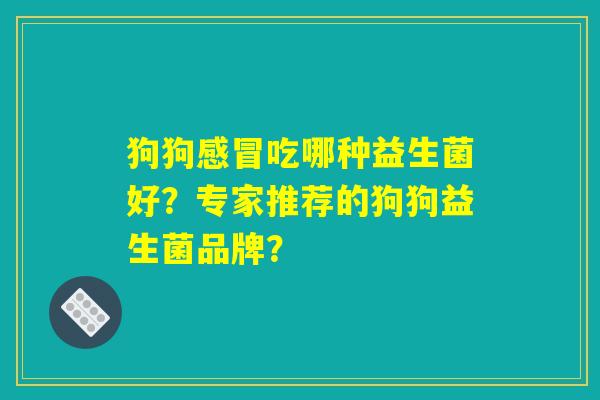 详细阅读:狗狗感冒吃哪种益生菌好?专家推荐的狗狗益生菌品牌? 狗狗感冒吃哪种益生菌好?专家推荐的狗狗益生菌品牌?