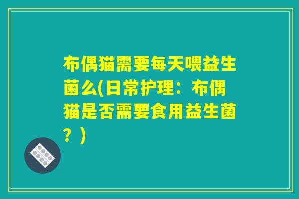 布偶猫需要每天喂益生菌么(日常护理：布偶猫是否需要食用益生菌？)