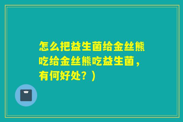 怎么把益生菌给金丝熊吃给金丝熊吃益生菌，有何好处？)