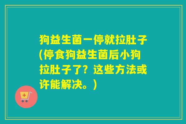 狗益生菌一停就拉肚子(停食狗益生菌后小狗拉肚子了？这些方法或许能解决。)