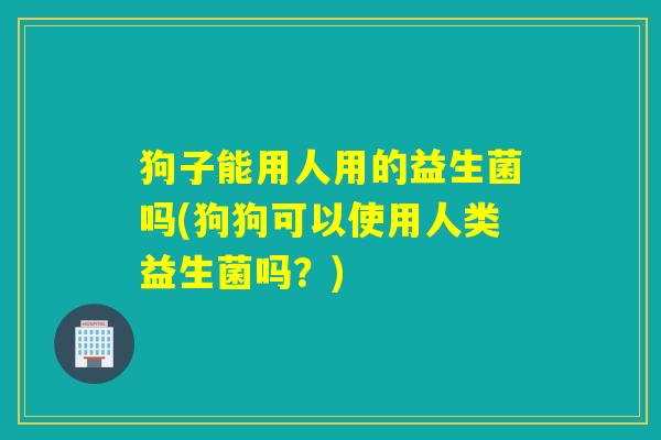狗子能用人用的益生菌吗(狗狗可以使用人类益生菌吗?) 狗子能用人用的益生菌吗(狗狗可以使用人类益生菌吗?)