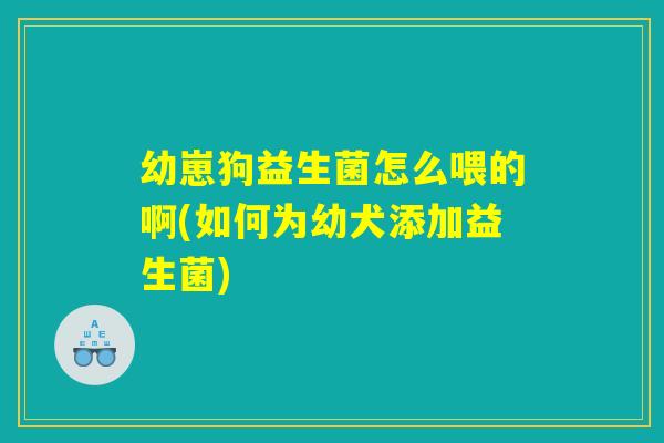 幼崽狗益生菌怎么喂的啊(如何为幼犬添加益生菌)