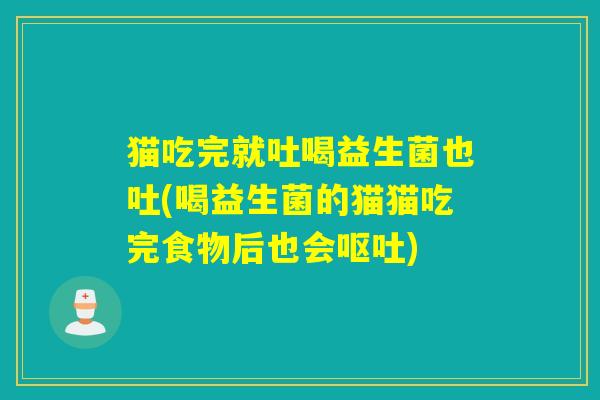 猫吃完就吐喝益生菌也吐(喝益生菌的猫猫吃完食物后也会呕吐)