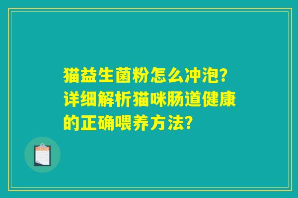 猫益生菌粉怎么冲泡？详细解析猫咪肠道健康的正确喂养方法？