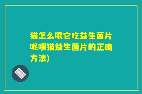 猫怎么喂它吃益生菌片呢喂猫益生菌片的正确方法)