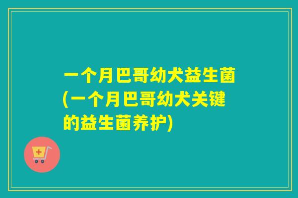 一个月巴哥幼犬益生菌(一个月巴哥幼犬关键的益生菌养护) 一个月巴哥幼犬益生菌(一个月巴哥幼犬关键的益生菌养护)