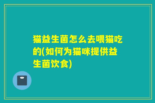 猫益生菌怎么去喂猫吃的(如何为猫咪提供益生菌饮食)