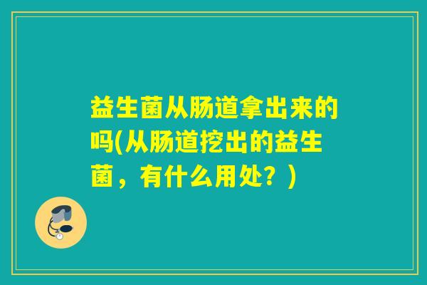 益生菌从肠道拿出来的吗(从肠道挖出的益生菌，有什么用处？)